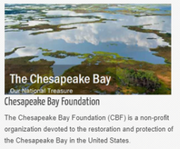 CBF_The Chesapeake Bay Foundation